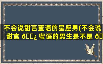 不会说甜言蜜语的星座男(不会说甜言 🌿 蜜语的男生是不是 🦟 不爱你)